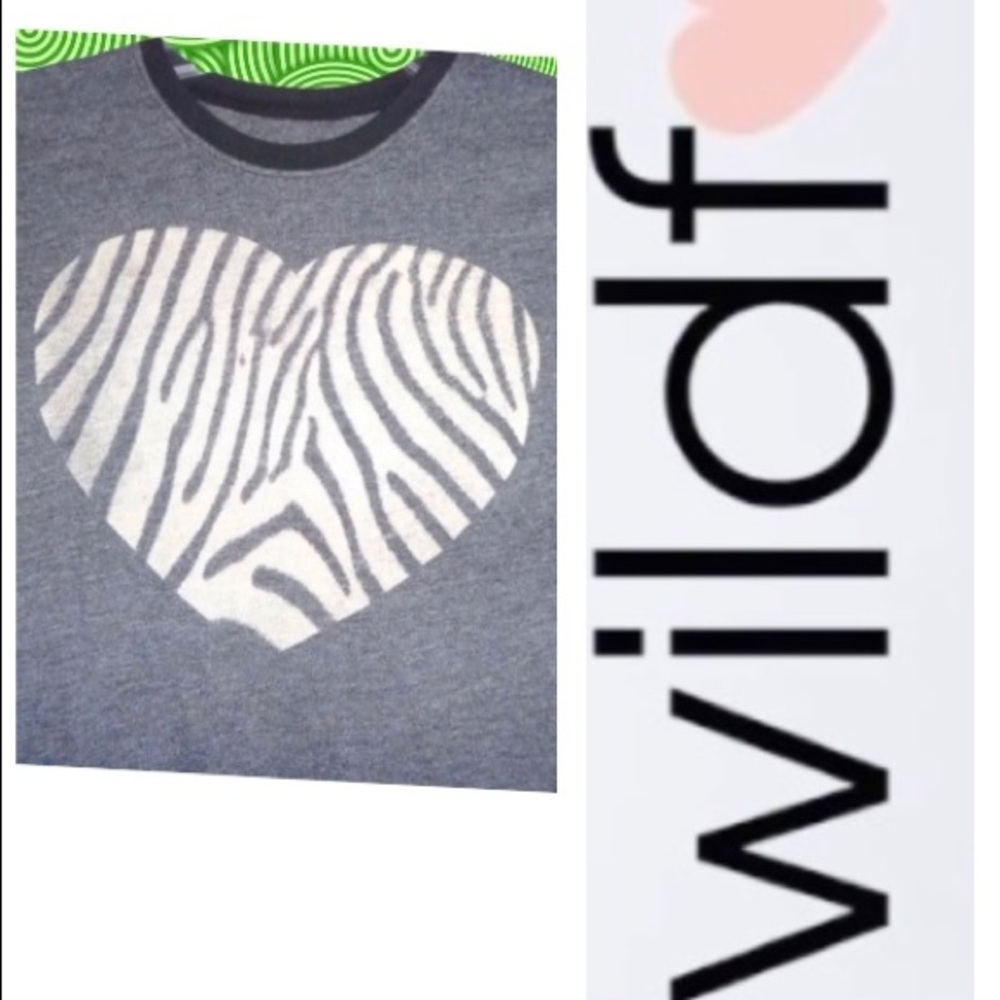 NWOT Girls Wildfox grey tshirts zebra heart, L
